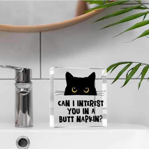Can i Interest you in a Butt Napkin Funny Sign (Interest)