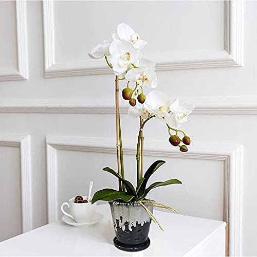 Ceramic Round Orchid Pots with Holes (5.7inch Black / 5.7inch)