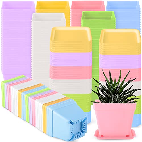 100 Pcs 4 Inch Small Plants Pot Bulk Flower Pots (Classic Color)