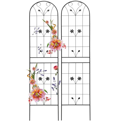 Garden Trellises