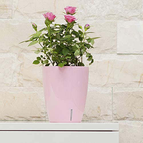 4.9 Inch ORCHIDEA Self Watering Pots for Orchids in Lavender