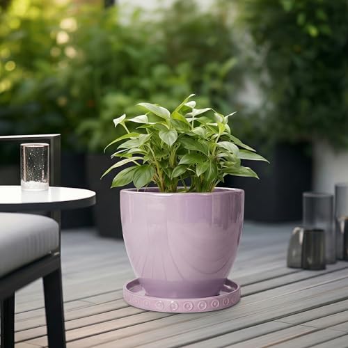 Ceramic Plant Saucer (11.4 Inch / Purple)