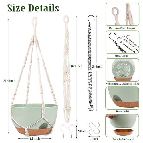 2 Pack 12 Inch Self Watering Hanging Planters for Indoor Outdoor Plants (2 Type Plant Hangers Green / 12 Inch)
