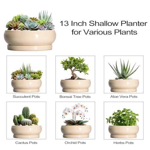 Large Succulent Planters (13 Inch / Beige)