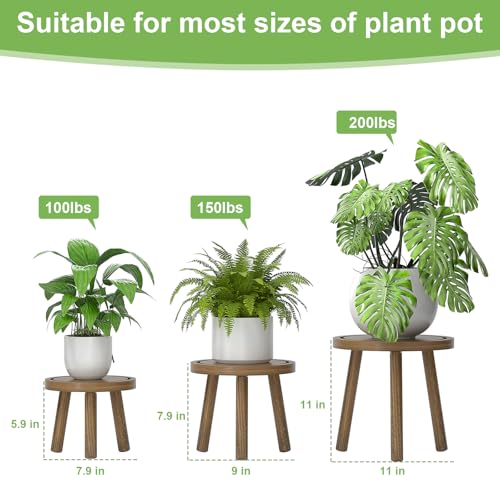 3 Pack Wood Plant Stands Indoor (3 Count)