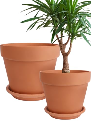 Terracotta Pot with Saucer 10&12 Inch (10/12 inch -2 pcs)