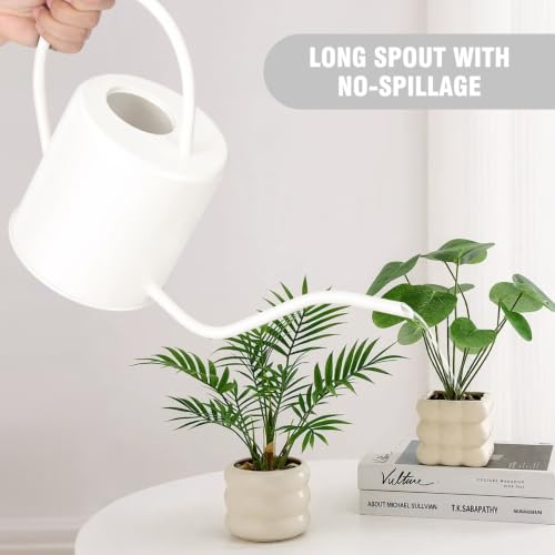 Plant Watering Can