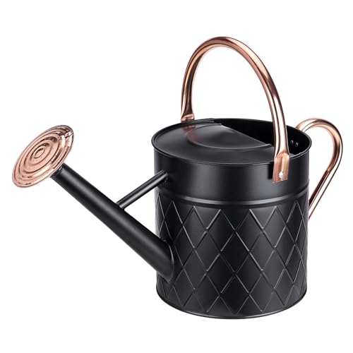 1.75 Gallon Outdoor Metal Watering Can for Garden Plants (Black)