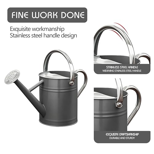 Metal Watering Can for Outdoor Plants (Gray)