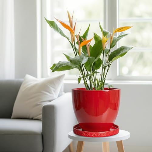 Plant Drip Trays 9.3 Inch (9.3" / Red)