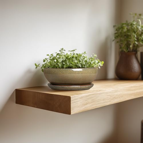 Bonsai Pots Small (6 Inch / Speckled Brown)