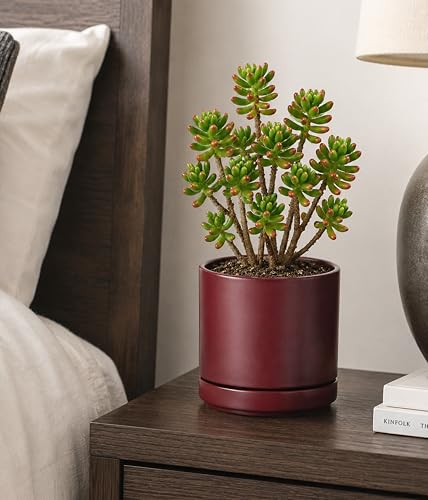 6.5 Inch Ceramic Planter Pot (Small / Cordovan)