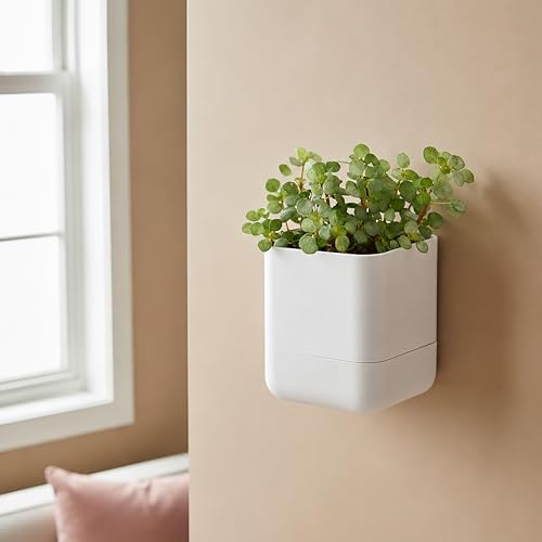 4.5 Inch Wall Mounted Self (4.5" (1 Pack) / White)