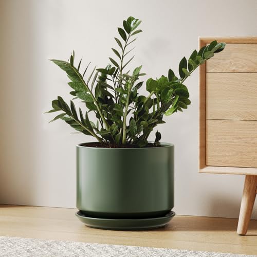10 inch Plant Pot (Forest Green / 10")