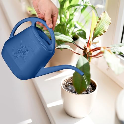 Hand Watering Can (Blue)