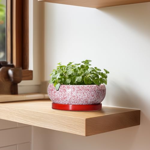 Bonsai Pots Small (6 Inch / Red-white)