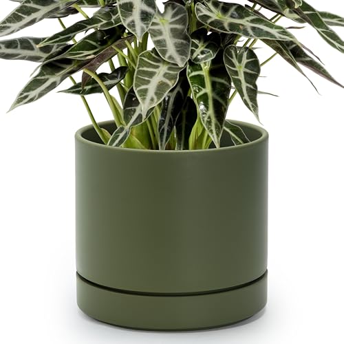 8 Inch Planter Pot with Drainage Hole & Saucer (8" (1 Pack) / Olive)