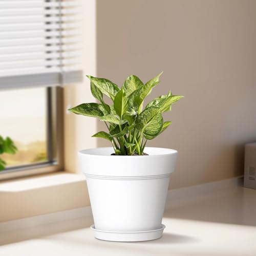 7 Inch Thick Plastic Plant Pots with Drainage Holes and Trays (6 Count)