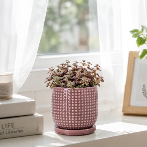 Beaded Ceramic Pot with Saucer (4.3 Inch / Blush Mauve)
