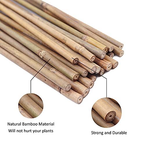 Natural Bamboo Garden Stakes (20 Count)