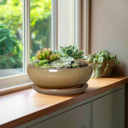 Bonsai Planter (10 Inch / Speckled Brown)