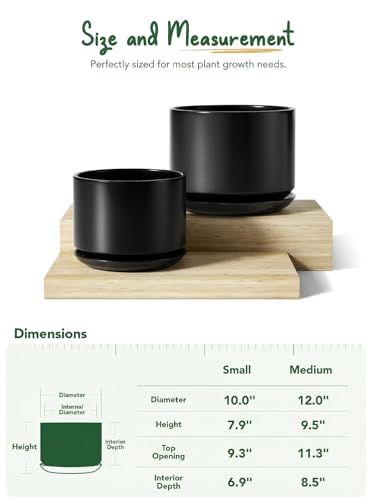 10 + 12 Inch Ceramic Plant Pots (Black / 10"+12")