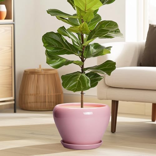 Ceramic Modern Glaze Succulent Planter Pot with Drainage Hole and Saucer 8 Inch Round Flower Plant Pot for Indoor Outdoor Herb Snake Plants (8 Inch / Pink)