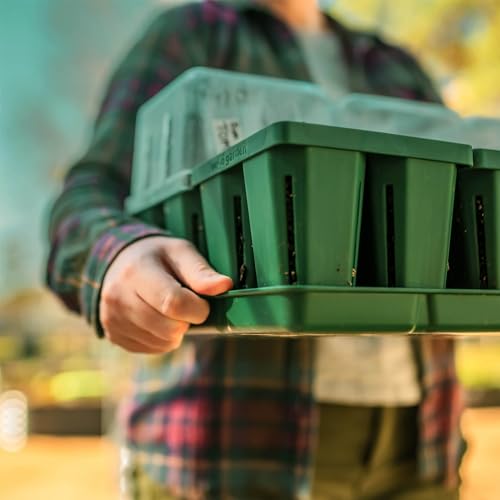 Seedling Suite Products (8 Count)