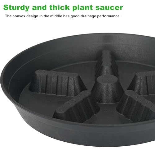 2 Pack Plant Saucer 12 inch (12"-2 Pack / Black)