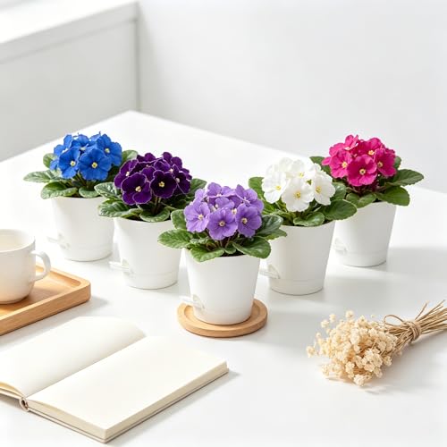 5 Pack 5 Inch African Violet Pots Self Watering (White / 5 inch 5 pcs)