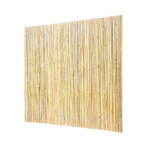 Natural Rolled Bamboo Fence (32 Sq Ft)