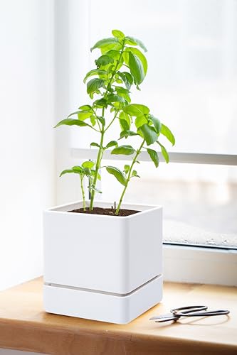 4 Pack Plastic Herb Planter Pots (4 Count)