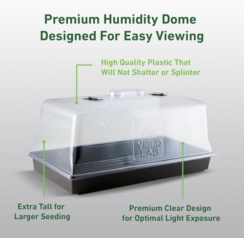 7 Inch Clone Dome (Clear / 100-Pack)