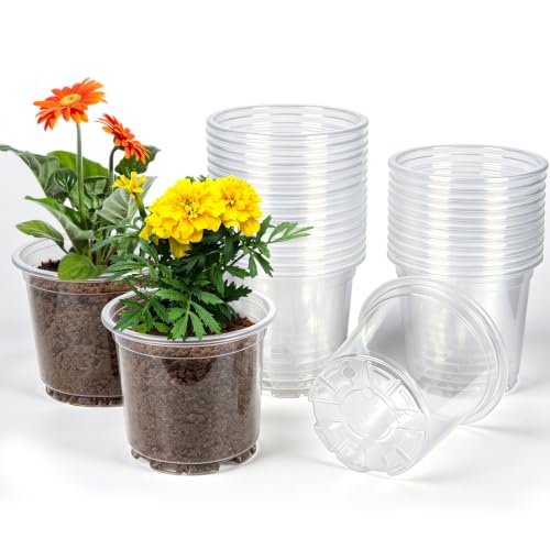 30 Pack 5 Inch Clear Nursery Pots with Drainage Holes (5Inch-30Pack)