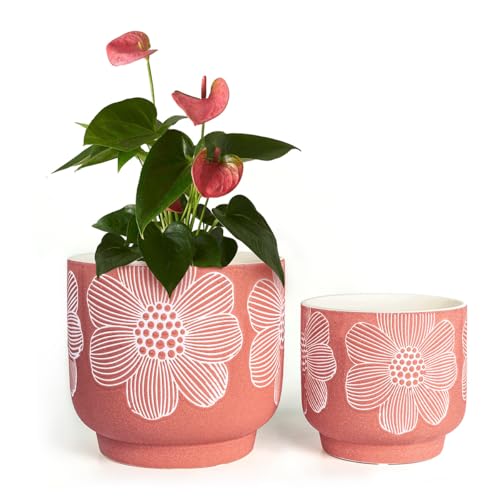 Ceramic Plant Pots (8+6 Inch / Mordern Red Floral)