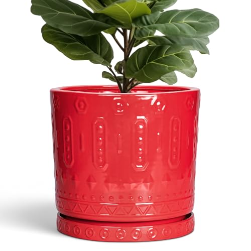 12 Inch Pots for Plants (12 Inch / Red)