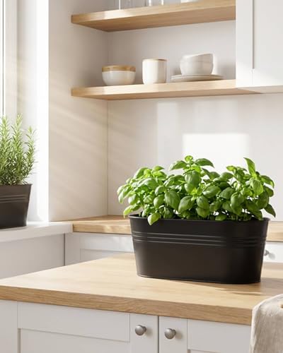 16 Inch Railing Planter Box (5 Count)