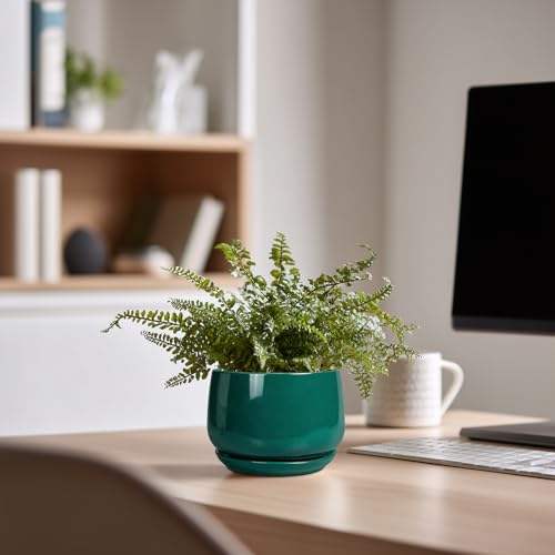 4 inch Plant Pots