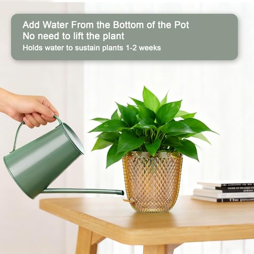 Hanging Planters for Indoor Plants (Gold / 5.7in)