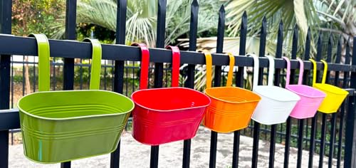 6 Pack 12" Colorful Metal Railing Planters with Hooks for Outdoor Fence (Oval - 11.8 Inch)
