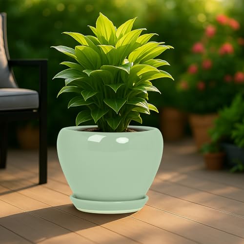 10 Inch Plant Pot (Mint Green / 10 Inch)