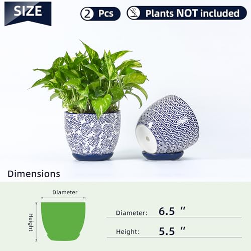 Ceramica Plant Pots (Vintage Blue / 6.5 Inch, Set of 2)