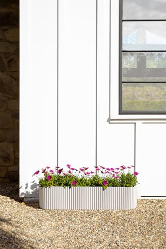 Demi Series Window Box Planter (2 Count)