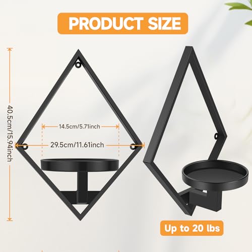 Wall Plant Holder (3 Pack)