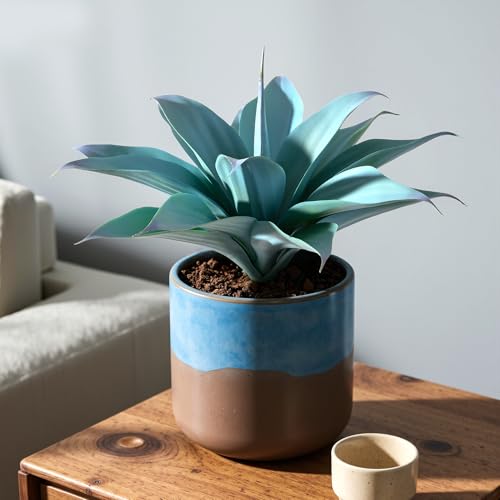 2-Pack 13.8-Inch Artificial Agave Plants for Outdoor Planters, UV Resistant Fake Agave Plants, Faux Succulent Greenery for Porch, Patio, Garden, Entryway and Indoor Decor, Blue (Agave15-blue2)