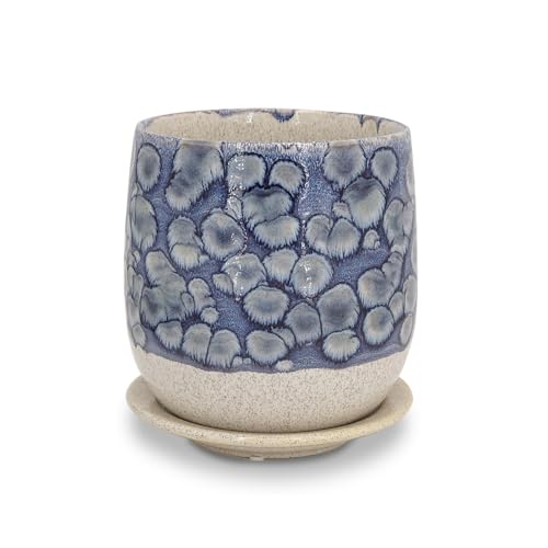 6 in Ceramic Plant Pot with Saucer