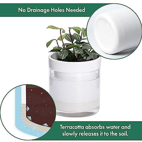 4 Inch Self Watering Planter (2 Count)
