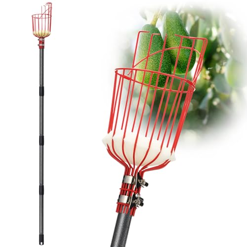 Fruit Picker Pole Tool with Basket Telescoping (35-170")