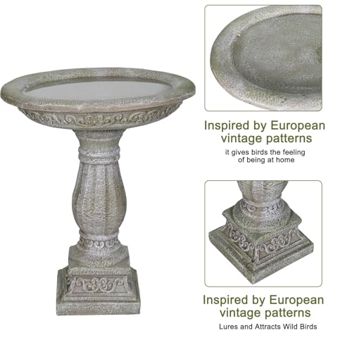 23.8" Tall Pedestal Bird Bath for Outdoor (Antique Gray)