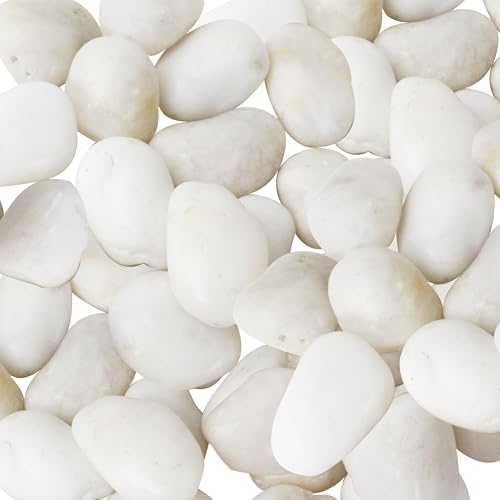 5LBS White River Rocks